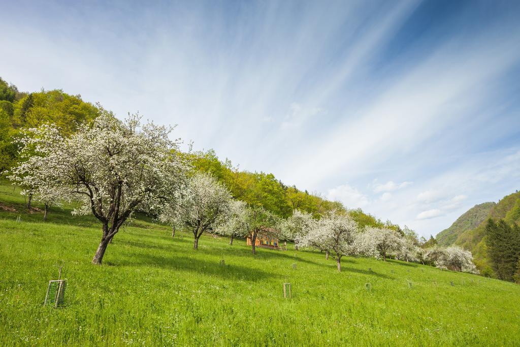 Villa Tourist Farm Zelinc à Cerkno Extérieur photo