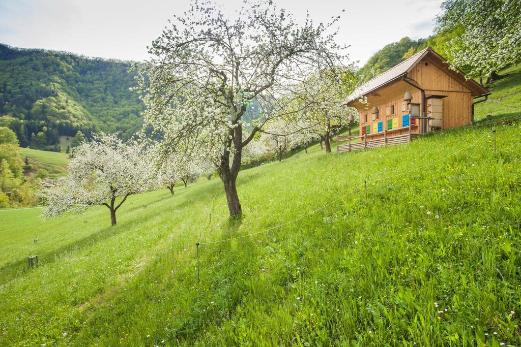 Villa Tourist Farm Zelinc à Cerkno Extérieur photo