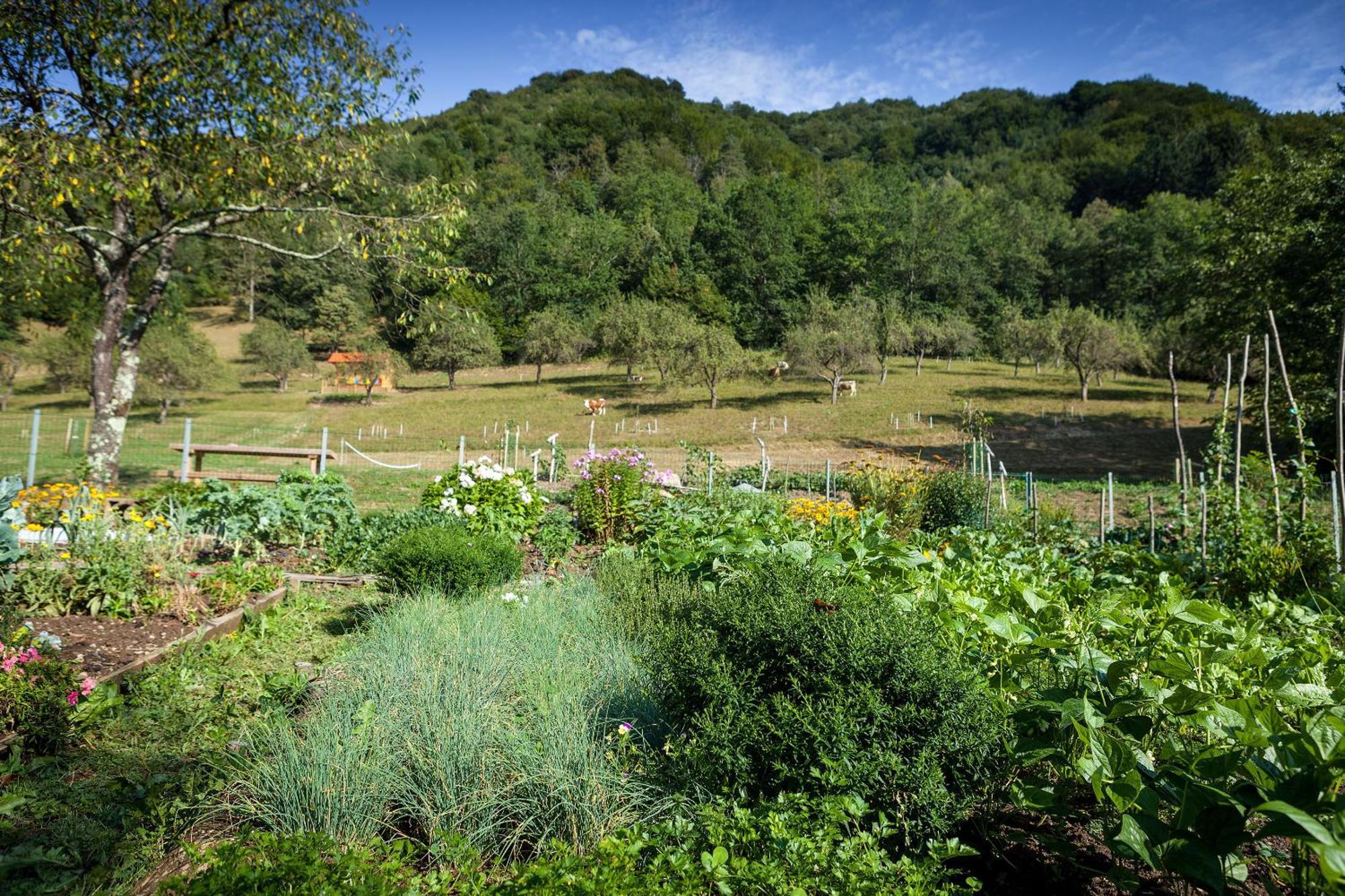 Villa Tourist Farm Zelinc à Cerkno Extérieur photo