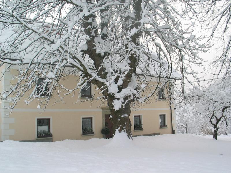 Villa Tourist Farm Zelinc à Cerkno Extérieur photo